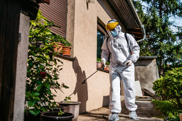 Best Pest Control for Homes  in Stratford, TX