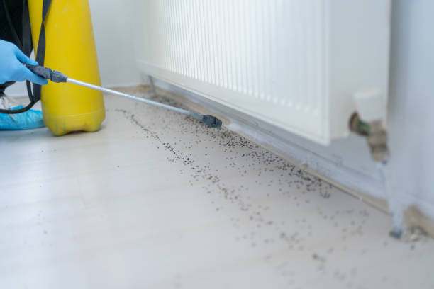 Best Best Pest Control Companies  in Stratford, TX